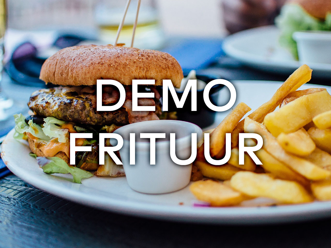 Demo Frituur